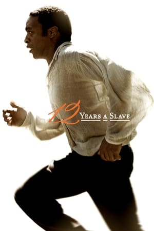 12 Years a Slave 2013 Dual Audio Hindi Full Movie 720p BluRay - 1.1GB Movie Poster