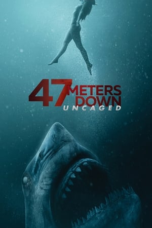 47 Meters Down: Uncaged (2019) Hindi Dual Audio 480p BluRay 400MB Movie Poster