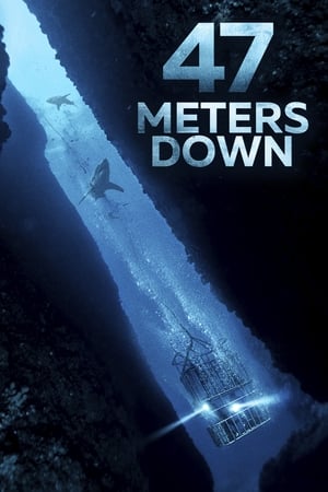 47 Metres Down (2017) Hindi Dual Audio 480p BluRay 300MB Movie Poster