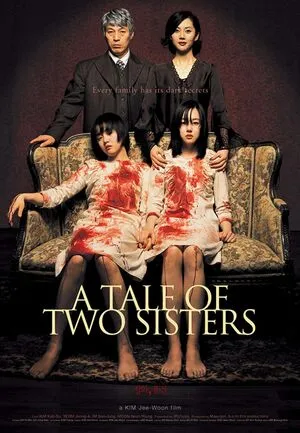 A Tale of Two Sisters 2003 Hindi Dual Audio WEB-DL 720p - 480p - 1080p Movie Poster