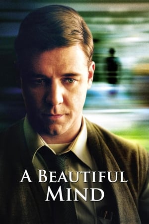 A Beautiful Mind 2001 Hindi Dual Audio 720p BluRay [1.2GB] Movie Poster