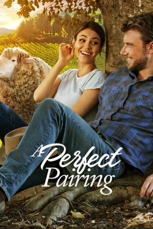 A Perfect Pairing (2022) Hindi Dual Audio HDRip 720p – 480p Movie Poster