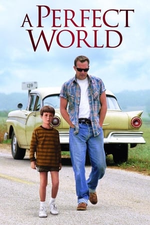 A Perfect World 1993 Hindi Dual Audio 720p BluRay [940MB] Movie Poster