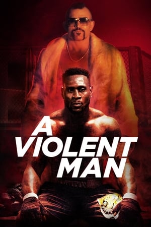 A Violent Man 2017 Hindi Dual Audio 480p WebRip 330MB Movie Poster