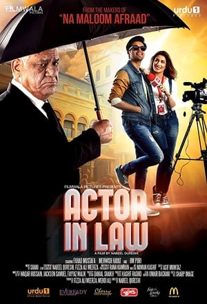 Actor in Law (2016) Movie Pakistani HDRip 480p [700MB] Download Movie Poster