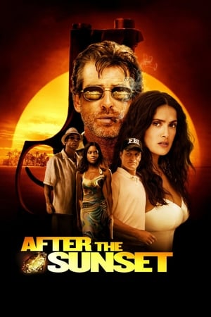 After The Sunset (2004) Hindi Dual Audio 480p BluRay 320MB Movie Poster