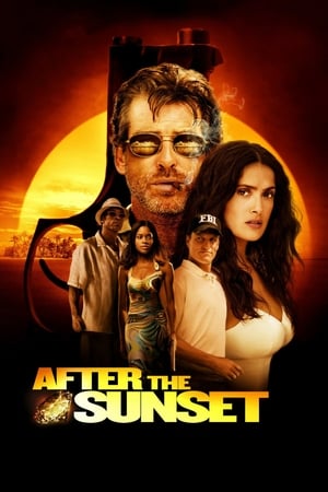 After The Sunset (2004) Hindi Dual Audio 720p BluRay [780MB] Movie Poster