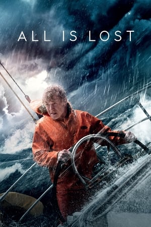 All Is Lost (2013) Hindi Dual Audio 480p BluRay 330MB Movie Poster