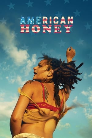 American Honey (2016) Hindi Dual Audio 720p BluRay [1.4GB] Movie Poster