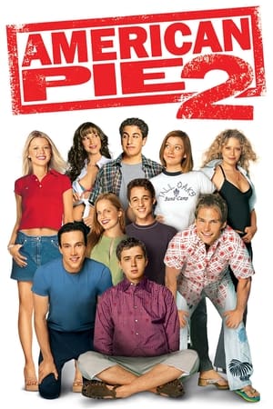 American Pie 2 (2001) Hindi Dual Audio 720p BluRay [990MB] Movie Poster