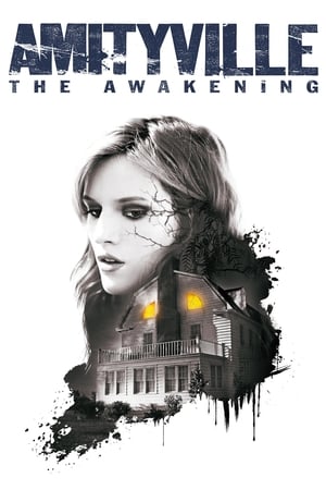 Amityville: The Awakening (2017) Hindi Dual Audio 480p BluRay 300MB Movie Poster