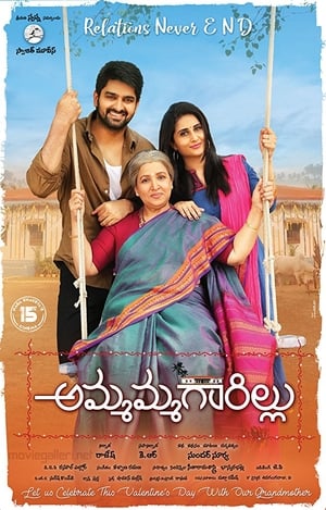 Ammammagarillu (Naani Maa) (2018) Hindi Dubbed 480p HDRip 400MB Movie Poster