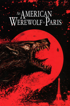 An American Werewolf in Paris 1997 Hindi Dual Audio 480p BluRay 300MB Movie Poster