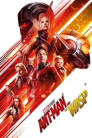 Ant-Man and the Wasp 2018 Movie (English) 720p HDCAM [900MB] Movie Poster