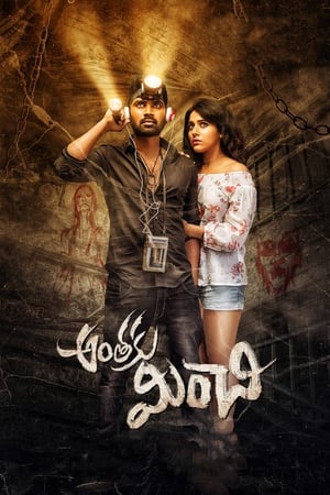 Anthaku Minchi (2018) Hindi Dubbed 480p HDRip 300MB Movie Poster