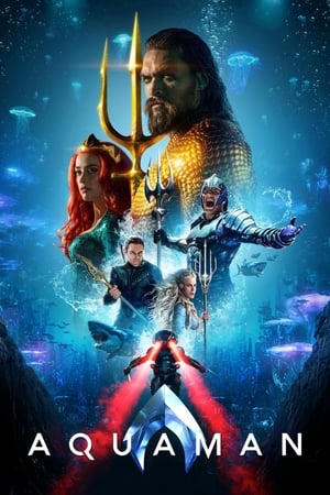 Aquaman 2018 Hindi (Org) Dual Audio 480p BluRay 450MB Movie Poster