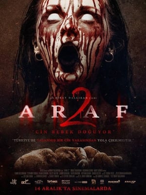 Araf 2 2019 Hindi Dual Audio 480p Web-DL 300MB Movie Poster