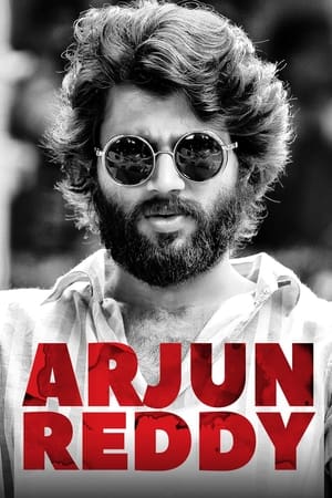 Arjun Reddy (2017) Dual Audio (Hindi ,Telugu) 480p UnCut HDRip 450MB Movie Poster