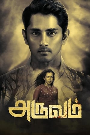 Aruvam (2019) (Hindi – Tamil) Dual Audio 480p UnCut HDRip 400MB Movie Poster