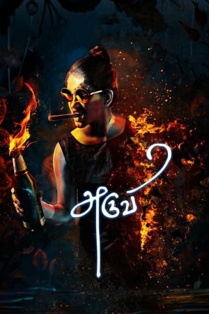 Aruvi (2016) (Hindi - Tamil) Dual Audio 480p UnCut HDRip 450MB Movie Poster