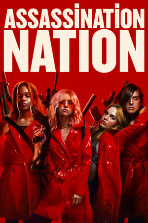 Assassination Nation (2018) Hindi Dual Audio 720p BluRay [940MB] Movie Poster