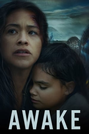 Awake (2021) Hindi Dual Audio 480p Web-DL 300MB Movie Poster