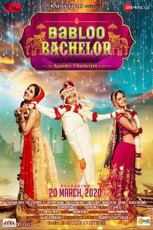 Babloo Bachelor (2021) Hindi Movie HDRip 720p – 480p Movie Poster