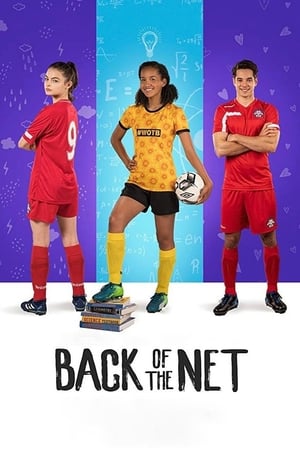 Back of the Net (2019) Hindi Dual Audio 480p Web-DL 300MB Movie Poster