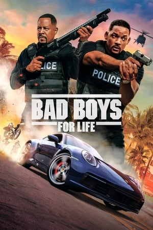 Bad Boys for Life (2020) Hindi (ORG) Dual Audio 720p BluRay [1.2GB] Movie Poster