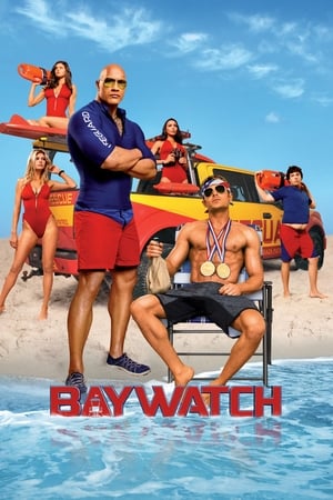 Baywatch 2017 Dual Audio Hindi 480p BluRay ORG 300MB Movie Poster