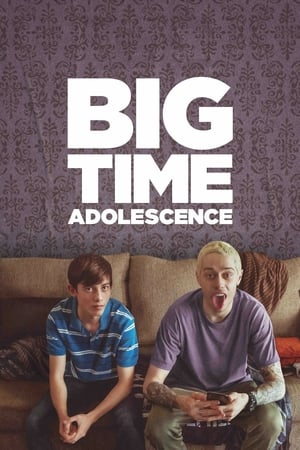 Big Time Adolescence (2019) Hindi Dual Audio HDRip 720p – 480p Movie Poster