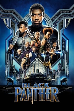 Black Panther (2018) Dual Audio Hindi 480p BluRay 400MB Movie Poster