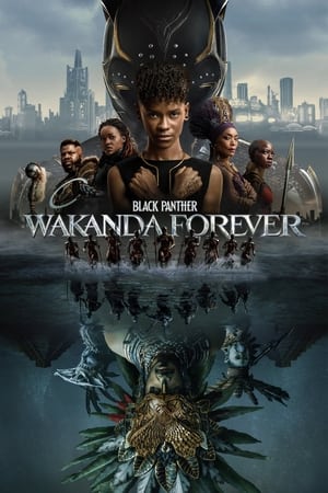 Black Panther: Wakanda Forever 2022 Hindi (ORG) Dual Audio BluRay 720p – 480p Movie Poster