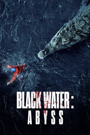 Black Water: Abyss (2020) Hindi Dual Audio 720p HDRip [950MB] Movie Poster