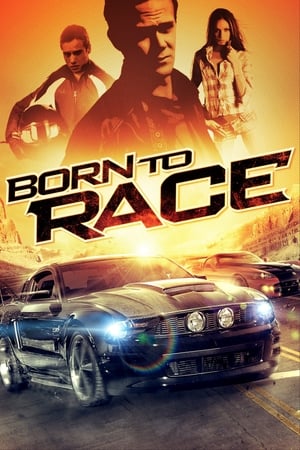 Born to Race 2011 Hindi Dual Audio 720p BluRay [610MB] Movie Poster