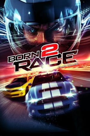 Born to Race Fast Track 2014 Hindi Dual Audio 480p BluRay 320MB Movie Poster