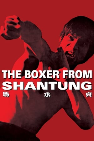 Boxer from Shantung (1972) Hindi Dual Audio 480p BluRay 400MB Movie Poster