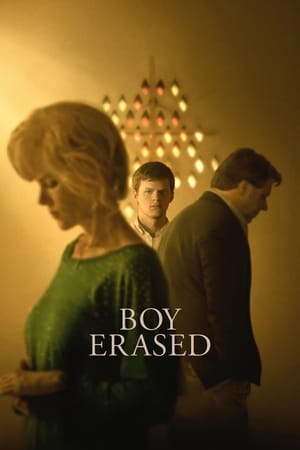 Boy Erased (2018) Hindi Dual Audio 720p BluRay [900MB] Movie Poster