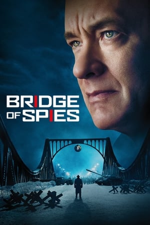 Bridge of Spies (2015) Hindi Dual Audio 720p BluRay [1.1GB] ESubs Movie Poster