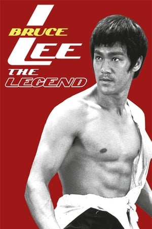 Bruce Lee the Legend 1984 Hindi Dual Audio 720p HDTVRip [1GB] Movie Poster