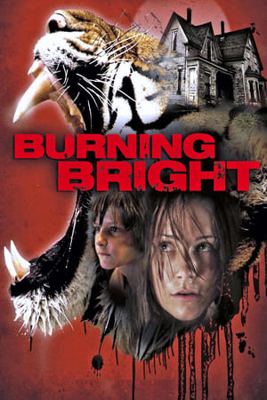 Burning Bright (2010) Hindi Dual Audio 480p BluRay 300MB Movie Poster