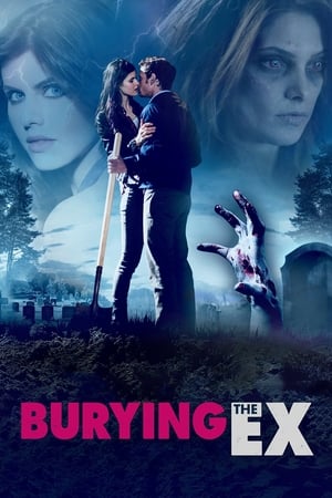 Burying the Ex 2014 Hindi (HQ Dubbed) 720p HDRip [830MB] Movie Poster