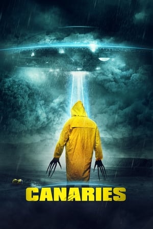 Canaries (2017) Hindi Dual Audio 720p WebRip [840MB] Movie Poster