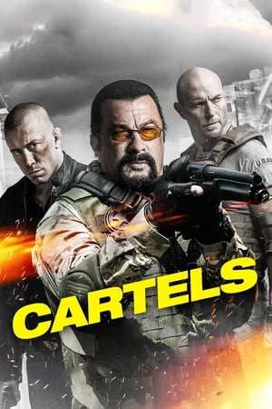 Cartels 2017 Hindi Dual Audio 720p BluRay [900MB] Movie Poster