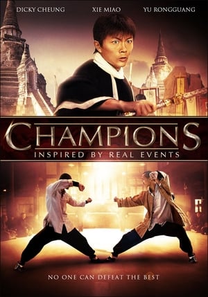 Champions (2008) Hindi Dual Audio 480p HDRip 380MB Movie Poster