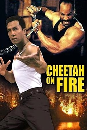 Cheetah on Fire 1992 Hindi Dual Audio 480p Web-DL 290MB Movie Poster