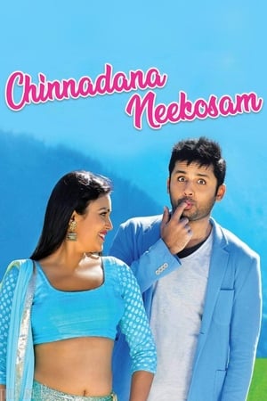 Chinnadana Nee Kosam 2014 Hindi Dual Audio 480p BluRay 400MB Movie Poster