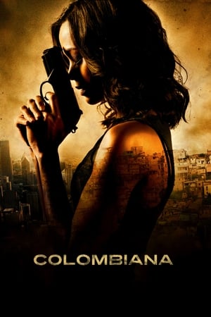 Colombiana (2011) Hindi Dual Audio 480p BluRay 350MB Movie Poster