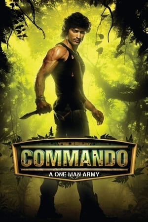 Commando (2013) Hindi 720p Bluray Hevc [450MB] Movie Poster