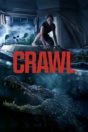 Crawl (2019) Hindi Dual Audio 480p Web-DL 300MB Movie Poster